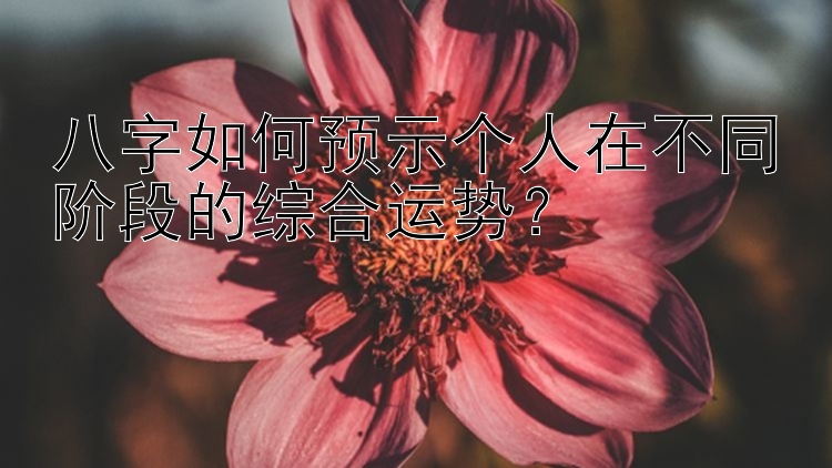 八字如何预示个人在不同阶段的综合运势？