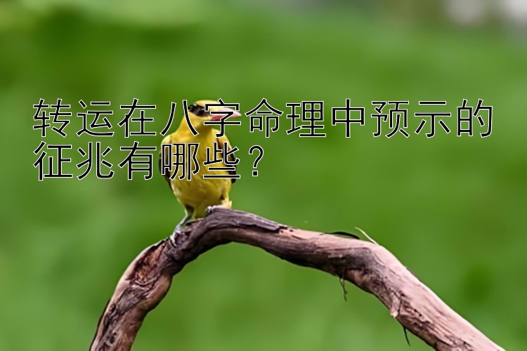 转运在八字命理中预示的征兆有哪些？