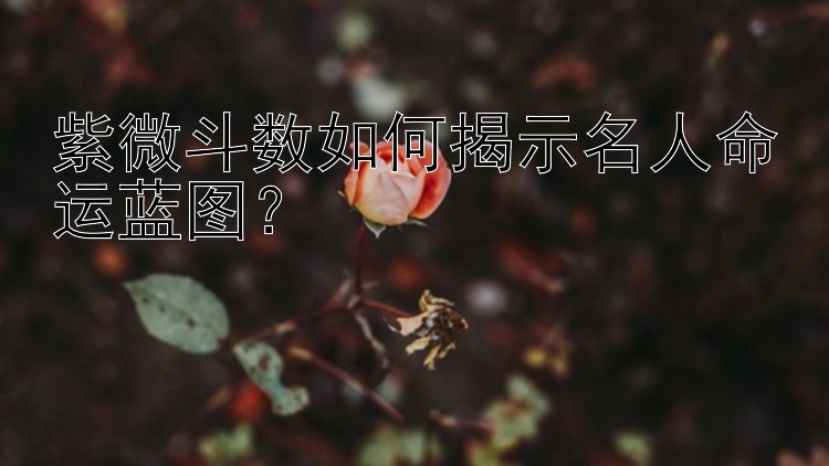 紫微斗数如何揭示名人命运蓝图？