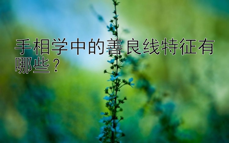 手相学中的善良线特征有哪些？