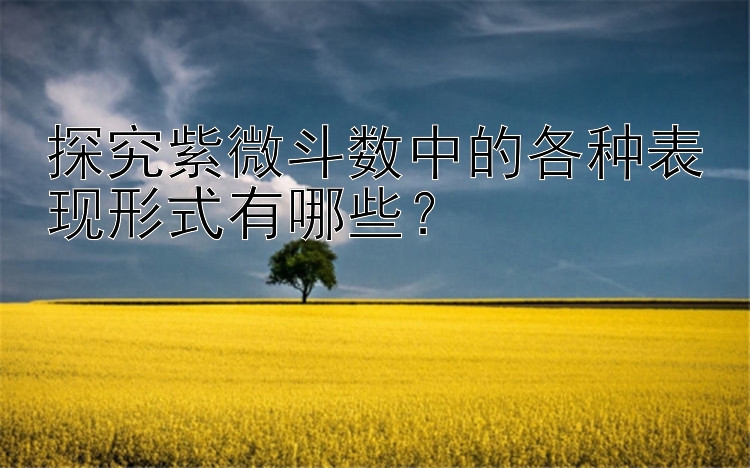 探究紫微斗数中的各种表现形式有哪些？