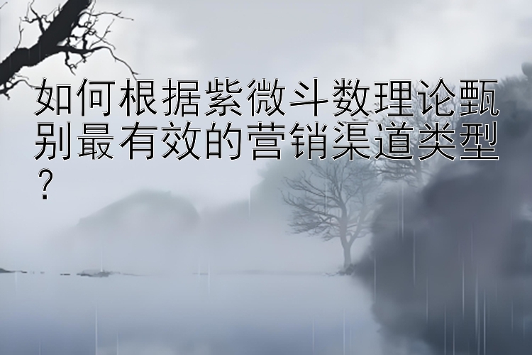 如何根据紫微斗数理论甄别最有效的营销渠道类型？