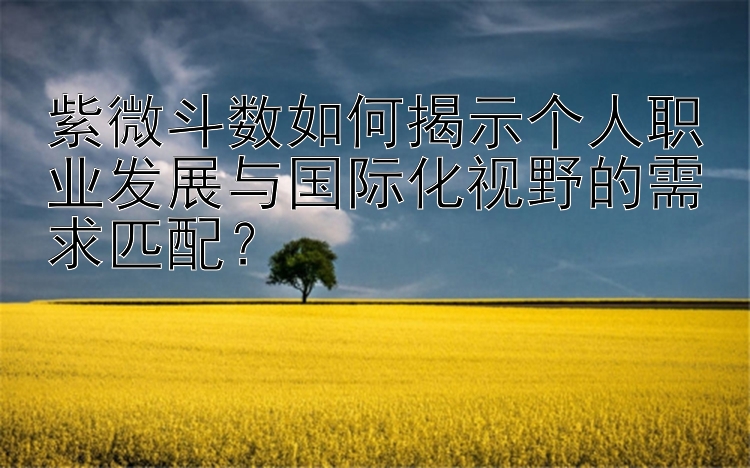 紫微斗数如何揭示个人职业发展与国际化视野的需求匹配？