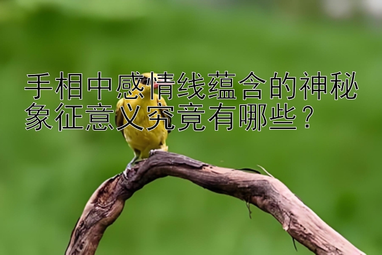 手相中感情线蕴含的神秘象征意义究竟有哪些？