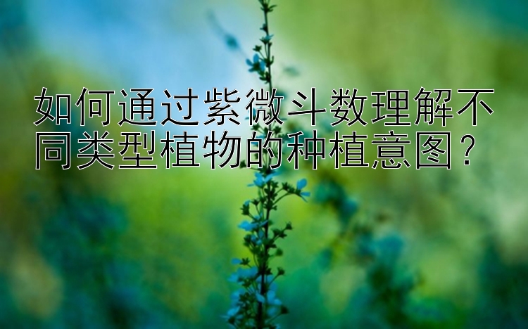 如何通过紫微斗数理解不同类型植物的种植意图？