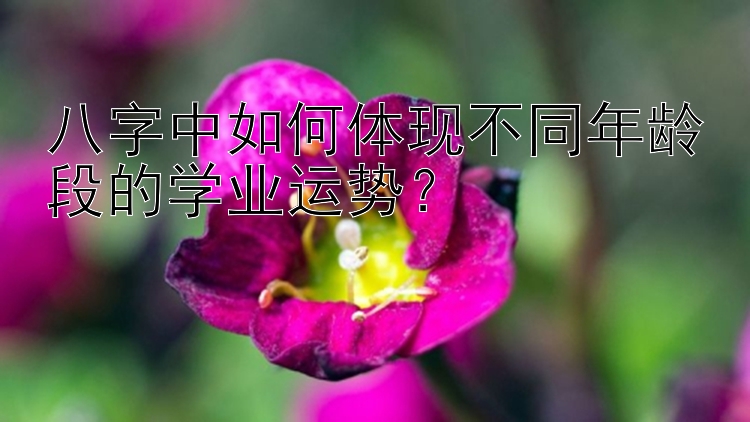 八字中如何体现不同年龄段的学业运势？