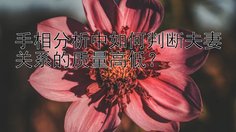 手相分析中如何判断夫妻关系的质量高低？