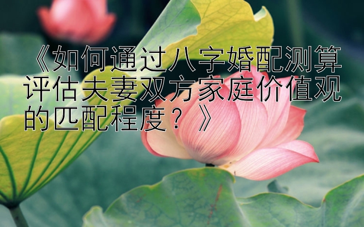 《如何通过八字婚配测算评估夫妻双方家庭价值观的匹配程度？》