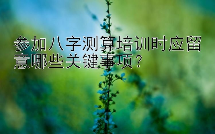 参加八字测算培训时应留意哪些关键事项？