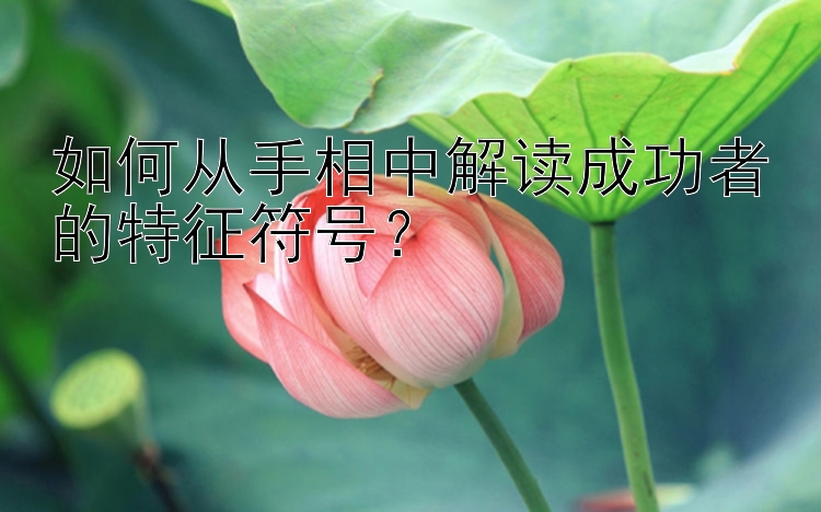 如何从手相中解读成功者的特征符号？