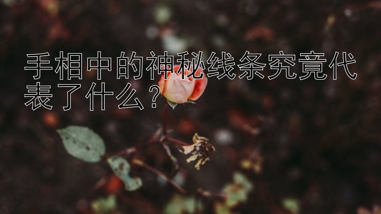 手相中的神秘线条究竟代表了什么？