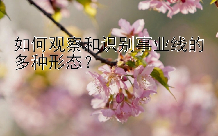 如何观察和识别事业线的多种形态？