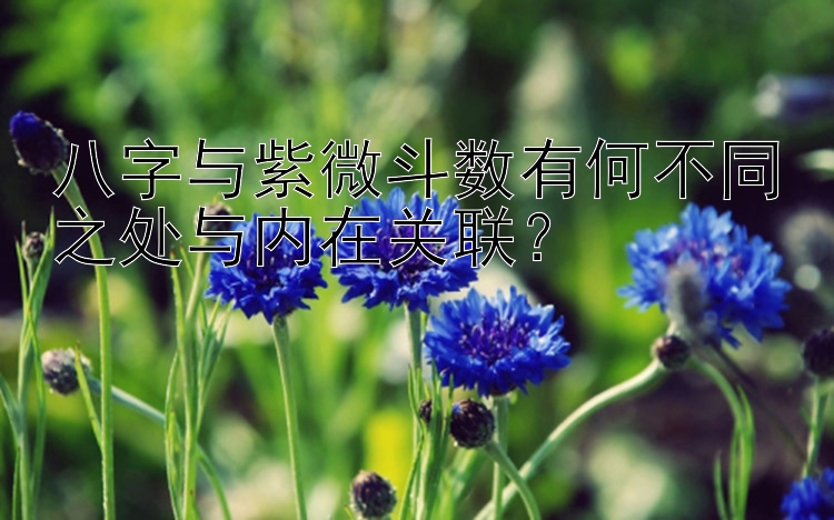 八字与紫微斗数有何不同之处与内在关联？