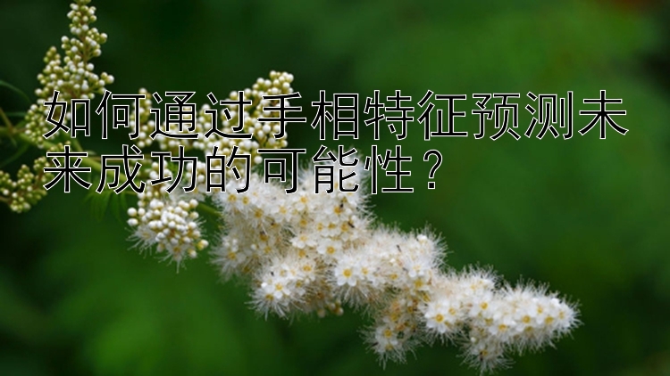 如何通过手相特征预测未来成功的可能性？