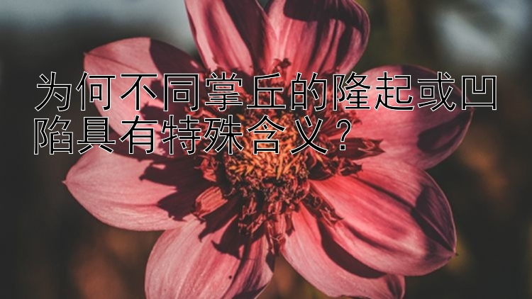 为何不同掌丘的隆起或凹陷具有特殊含义？