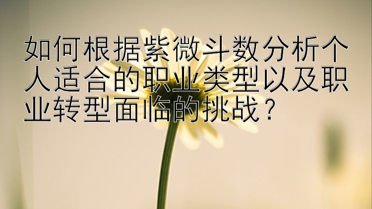 如何根据紫微斗数分析个人适合的职业类型以及职业转型面临的挑战？