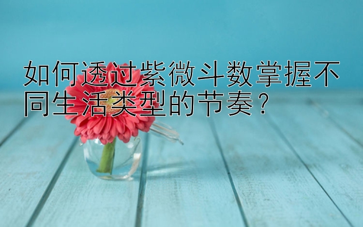 如何透过紫微斗数掌握不同生活类型的节奏？