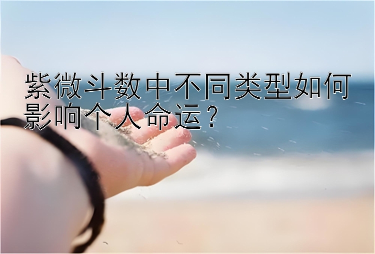 紫微斗数中不同类型如何影响个人命运？