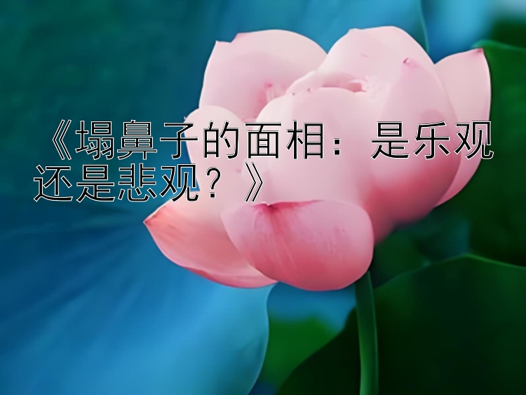 《塌鼻子的面相：是乐观还是悲观？》