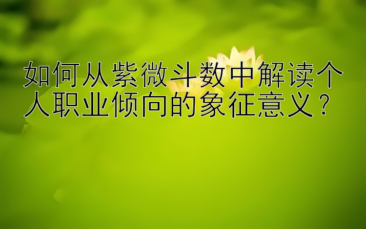 如何从紫微斗数中解读个人职业倾向的象征意义？