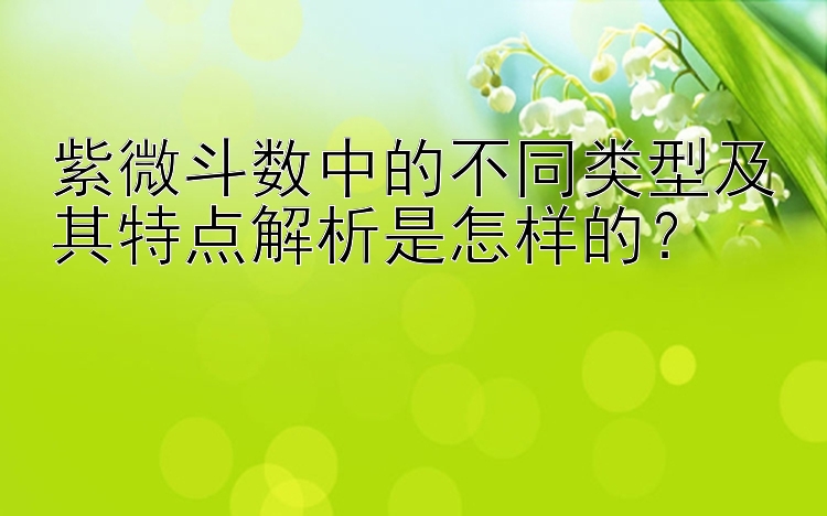 紫微斗数中的不同类型及其特点解析是怎样的？