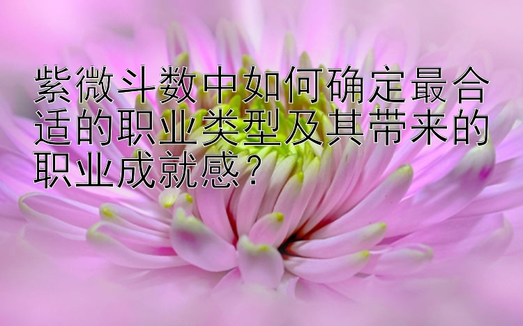 紫微斗数中如何确定最合适的职业类型及其带来的职业成就感？