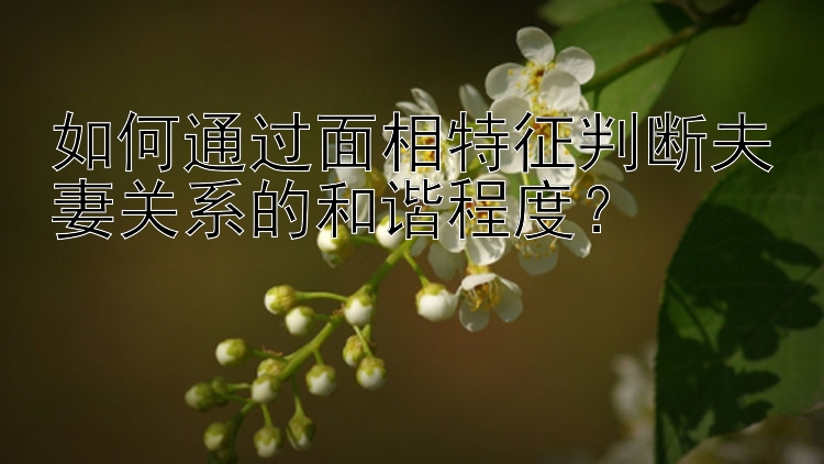 如何通过面相特征判断夫妻关系的和谐程度？