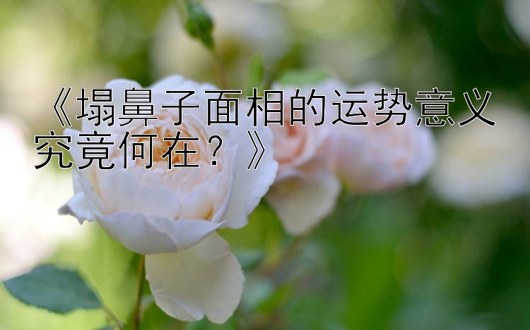 《塌鼻子面相的运势意义究竟何在？》