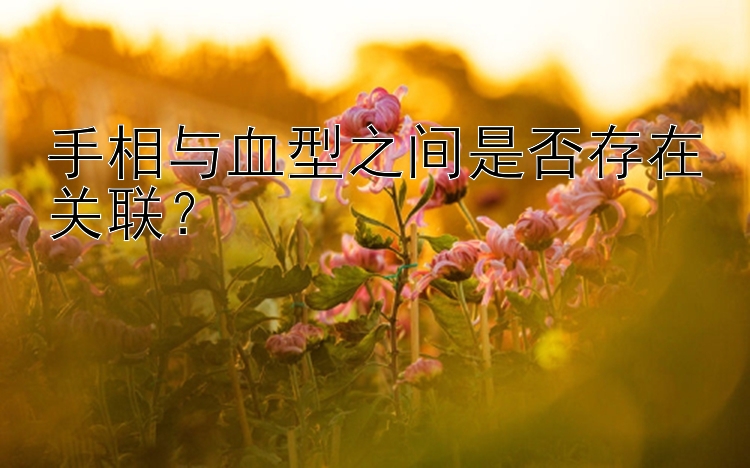 手相与血型之间是否存在关联？