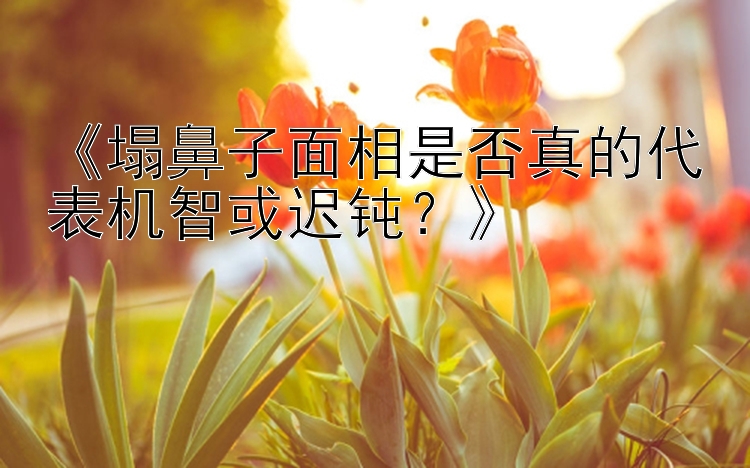 《塌鼻子面相是否真的代表机智或迟钝？》