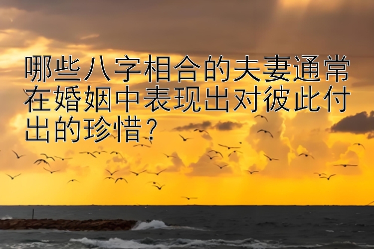 哪些八字相合的夫妻通常在婚姻中表现出对彼此付出的珍惜？