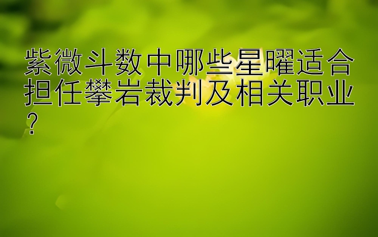 紫微斗数中哪些星曜适合担任攀岩裁判及相关职业？