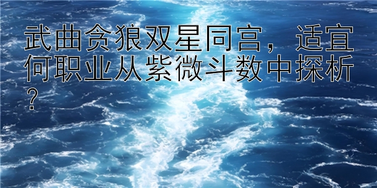 武曲贪狼双星同宫，适宜何职业从紫微斗数中探析？