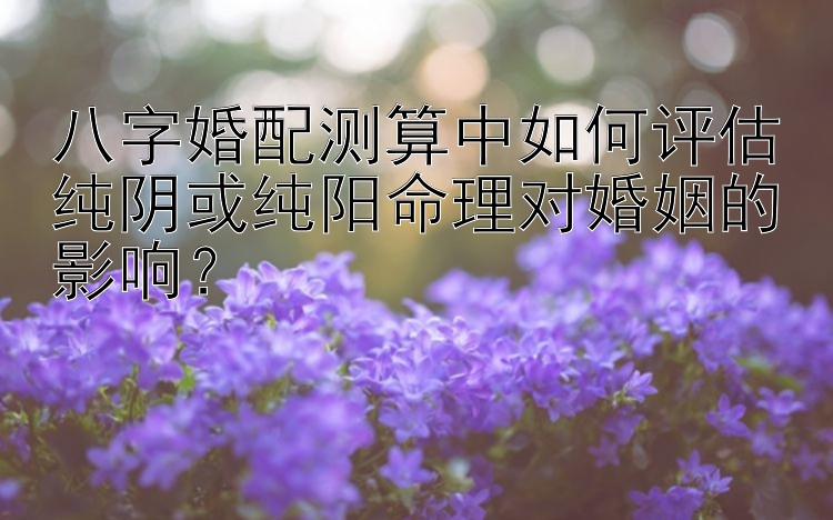 八字婚配测算中如何评估纯阴或纯阳命理对婚姻的影响？