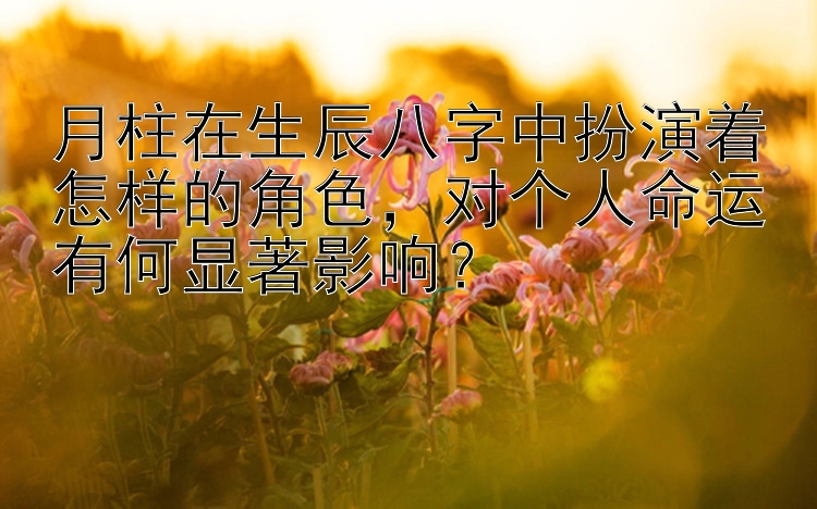 月柱在生辰八字中扮演着怎样的角色，对个人命运有何显著影响？