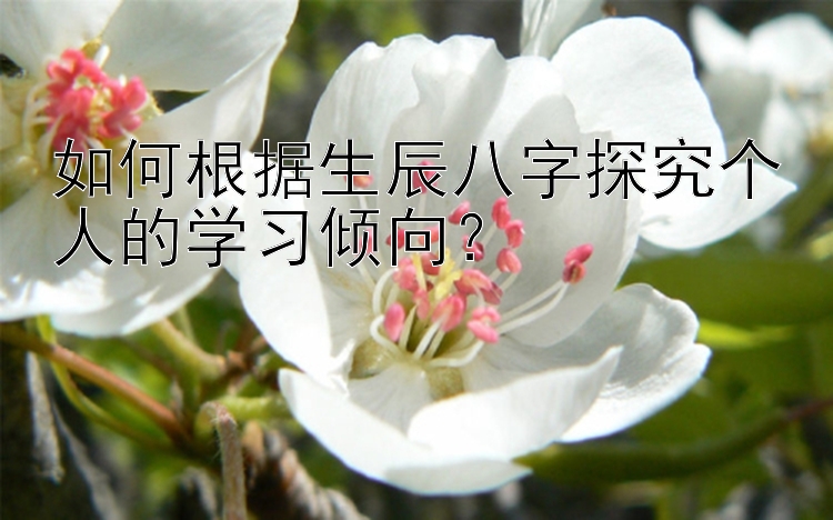 如何根据生辰八字探究个人的学习倾向？