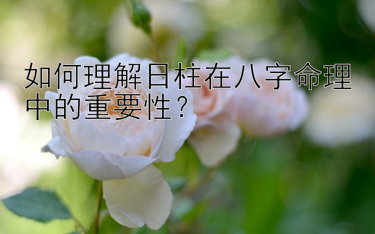 如何理解日柱在八字命理中的重要性？