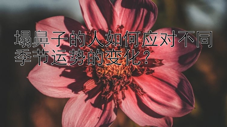 塌鼻子的人如何应对不同季节运势的变化？