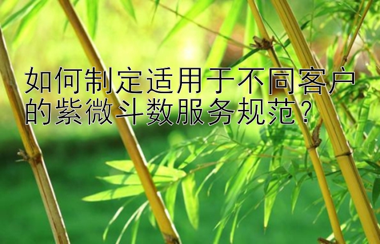 如何制定适用于不同客户的紫微斗数服务规范？