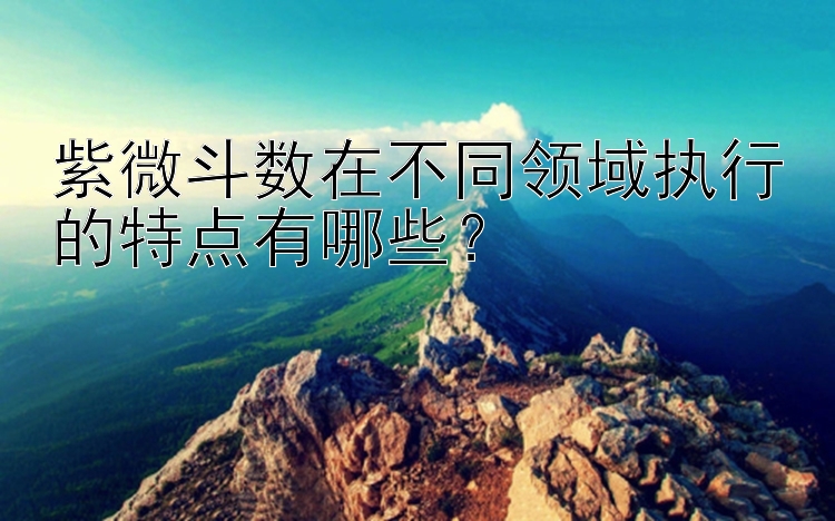 紫微斗数在不同领域执行的特点有哪些？