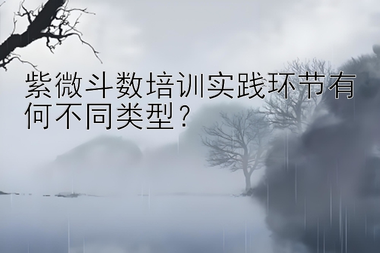 紫微斗数培训实践环节有何不同类型？