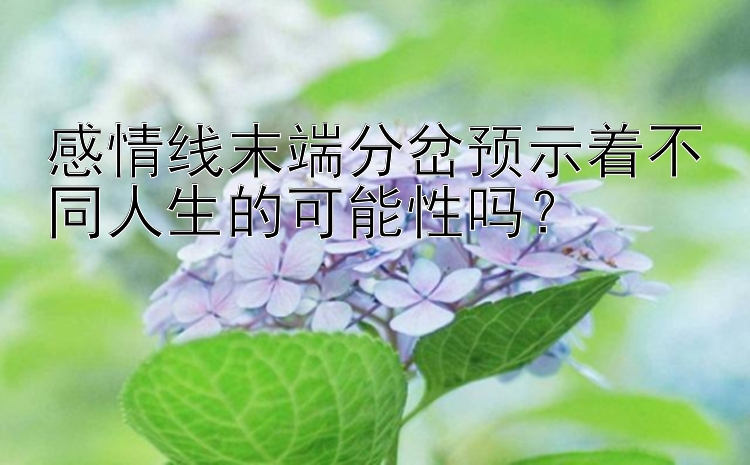 感情线末端分岔预示着不同人生的可能性吗？