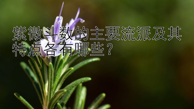 紫微斗数的主要流派及其特点各有哪些？