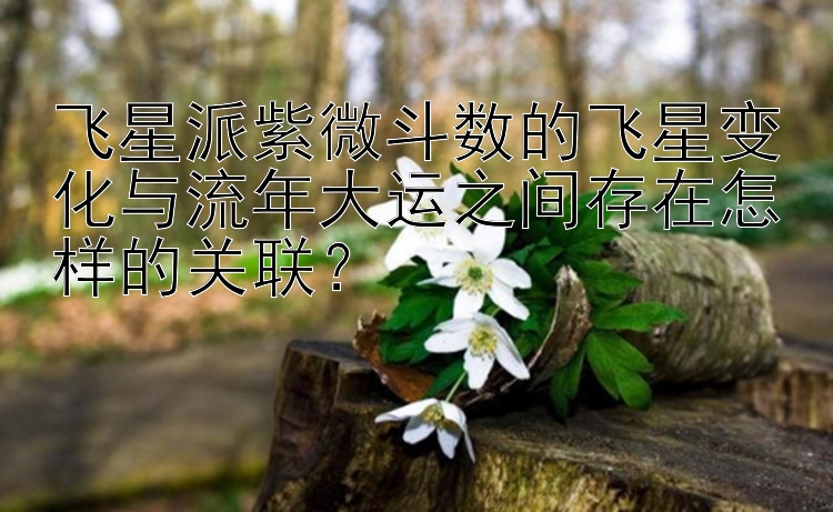 飞星派紫微斗数的飞星变化与流年大运之间存在怎样的关联？