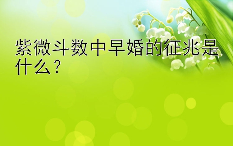 紫微斗数中早婚的征兆是什么？