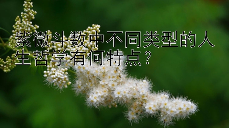 紫微斗数中不同类型的人生哲学有何特点？