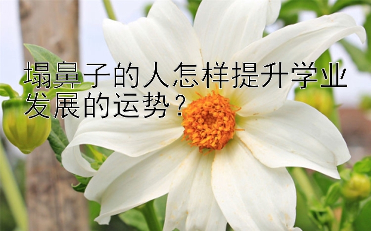 塌鼻子的人怎样提升学业发展的运势？