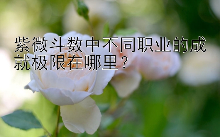 紫微斗数中不同职业的成就极限在哪里？