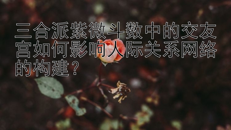 三合派紫微斗数中的交友宫如何影响人际关系网络的构建？