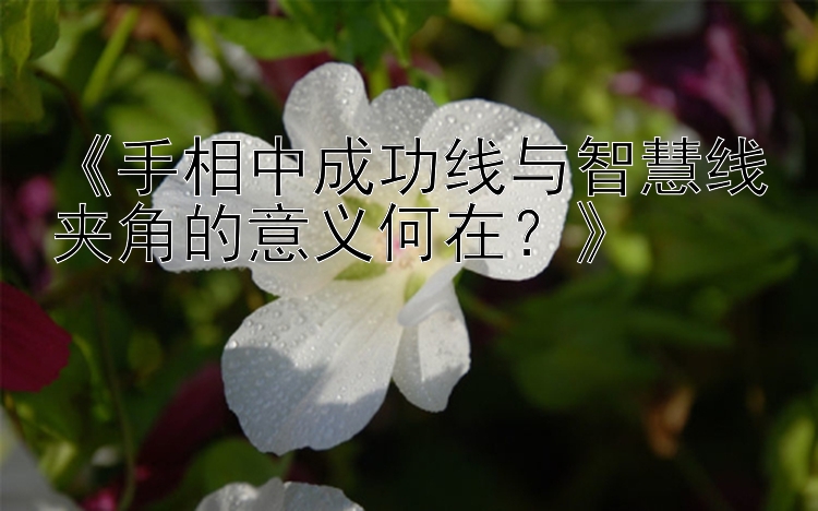 《手相中成功线与智慧线夹角的意义何在？》